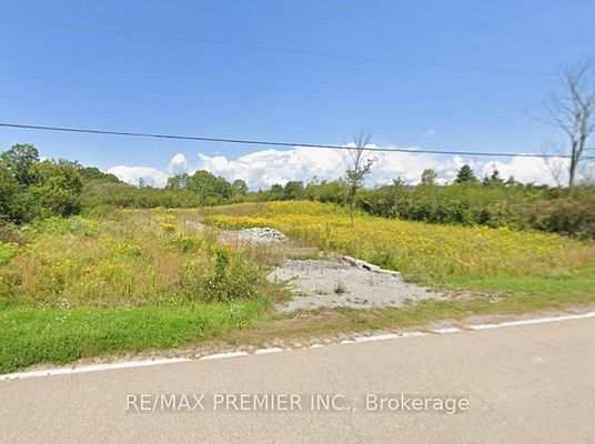 Vacant land at 3180 4th Concession Rd, Kingston, Ontario — wildflower meadow, gravel driveway entry, paved road frontage, wooded edge